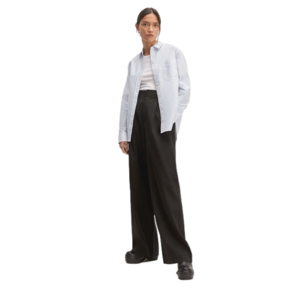 Everlane NWT Women’s Long Sleeve Button Down Oversized 100% Cotton Striped Mint - Picture 3 of 10